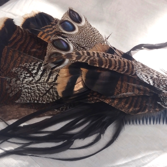 Unique hair accessories. From exotic pheasants main image 4